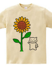 Shiro Neko sunflower