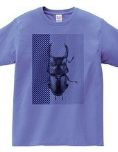 Stag beetle