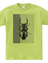 Stag beetle