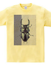 Stag beetle