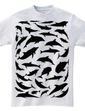 Dolphin-T