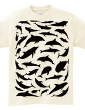 Dolphin-T