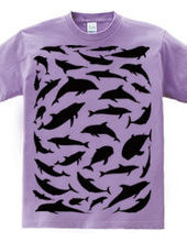 Dolphin-T