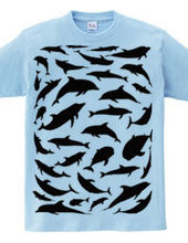 Dolphin-T