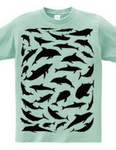 Dolphin-T