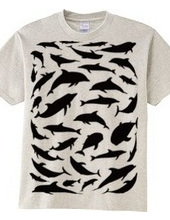 Dolphin-T