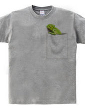 Pocket Chameleon