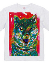 colorful shibainu T-shirts