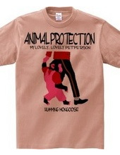 AnimalProtection-B