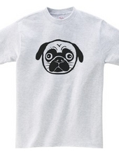 Pug 