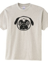 Pug 