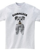 Schnauzer