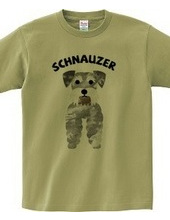 Schnauzer