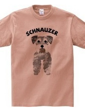 Schnauzer