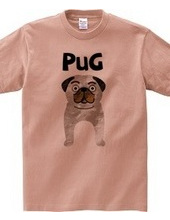 Pug