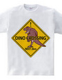 DINO CROSSING