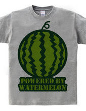 POWERED_BY_WATERMELON