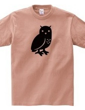 OWL 1