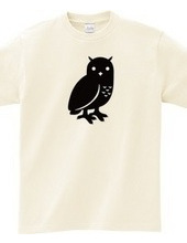 OWL 1