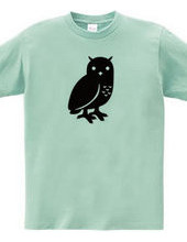 OWL 1