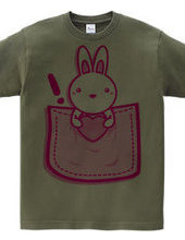 Rabbit_in_the_Pocket