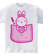 Rabbit_in_the_Pocket