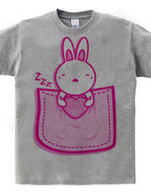 Rabbit_in_the_Pocket