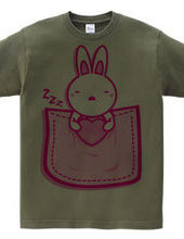 Rabbit_in_the_Pocket