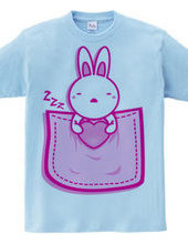 Rabbit_in_the_Pocket