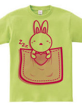 Rabbit_in_the_Pocket