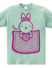 Rabbit_in_the_Pocket