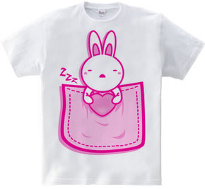 Rabbit_in_the_Pocket