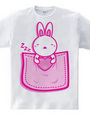 Rabbit_in_the_Pocket