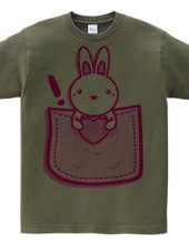 Rabbit_in_the_Pocket