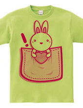 Rabbit_in_the_Pocket