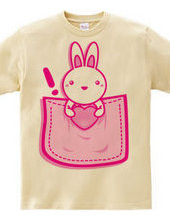 Rabbit_in_the_Pocket