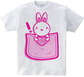 Rabbit_in_the_Pocket