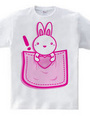 Rabbit_in_the_Pocket