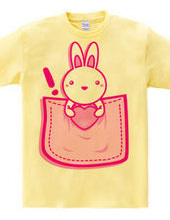 Rabbit_in_the_Pocket