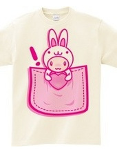 Rabbit_in_the_Pocket