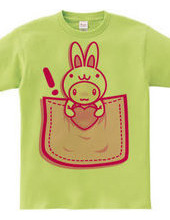 Rabbit_in_the_Pocket