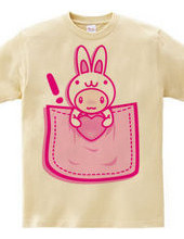 Rabbit_in_the_Pocket