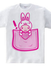 Rabbit_in_the_Pocket