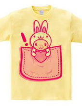 Rabbit_in_the_Pocket