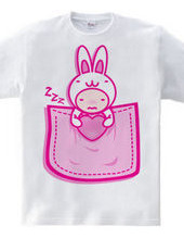 Rabbit_in_the_Pocket