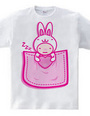 Rabbit_in_the_Pocket