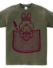 Rabbit_in_the_Pocket