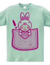 Rabbit_in_the_Pocket