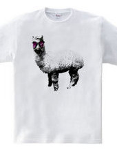 Alpaca