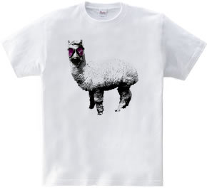 Alpaca